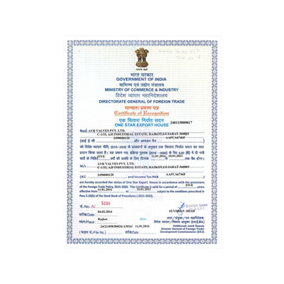 gov-certificate