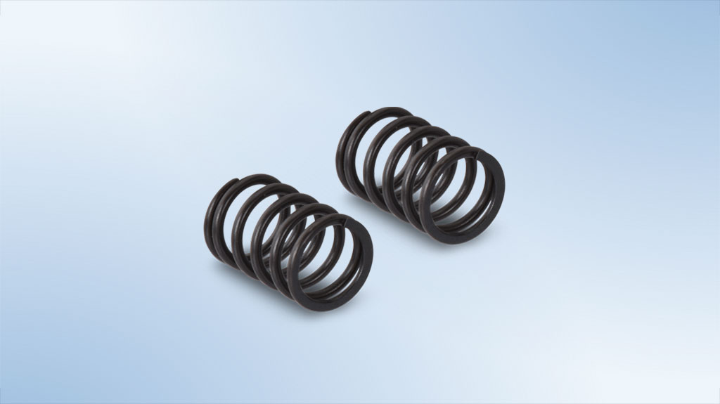 valve-spring